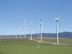 Especialistas aseguran que México se está alineando al proceso de transición mundial del empleo con energías renovables. ESPECIAL  /