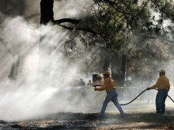 rLa Conafor reveló que 16 hectáreas de arbolado resultaron afectadas tras el incendio. ARCHIVO  /