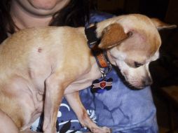 Chico recibió auxilios por la herida causada. AP  /