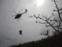 El veneno se ha esparcido vía aerea por toda la región afectada. AP  /