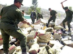 Encontraron 59 plantíos de mariguana, 78 costales y cuatro secaderos del mismo enervante. ARCHIVO  /