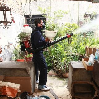 SSJ reporta estable la situación del dengue en Jalisco