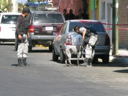 Perros adiestrados revisaron el vehículo para descartar la presencia de algún cadáver o explosivo en su interior. M. PATIÑO  /