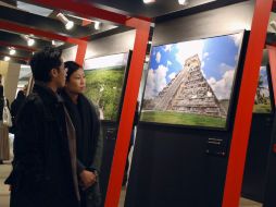 La exposición se inauguró el 24 de enero y permanecerá abierta al público hasta el próximo 6 de febrero en el Centro Internacional. EFE  /