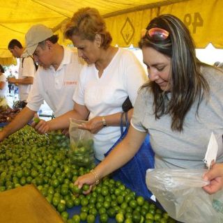 Ya empezó a bajar de precio el limón agrio