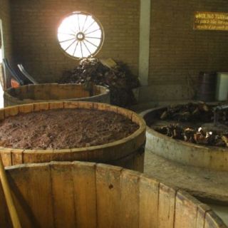 Inauguran MiniMuseo del Mezcal en la Ciudad de México