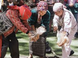 Indemaya deberá implementar un programa que contenga lineamientos, objetivos y metas para comunidades mayas. ARCHIVO  /