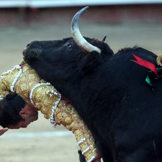 Los Toros de Xajay son aprobados para la Plaza México