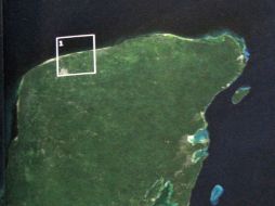 El recuadro marca  el lugar donde cayó hace 60 millones de años el meteorito Chicxulub.ESPECIAL  /