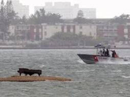 Autoridades señalaron que quien sea atrapado dejando cosas sobre el banco de arena será atrapado. ESPECIAL  /