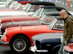 El servicio de bike-sharing será gratuito. EFE  /