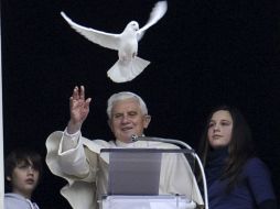Benedicto XVI libera una paloma como símbolo de paz, desde la ventana de su estudio. EFE  /