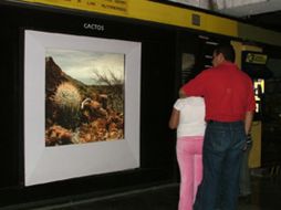 La exhibición podrá visitarse hasta el próximo 6 de marzo. ESPECIAL  /