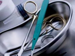 Los injertos vasculares humanos también se probaron en animales grandes. ESPECIAL  /