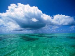 Nat Geo y un equipo internacional de científicos regresa para ejecutar un nuevo y audaz intento. ESPECIAL  /