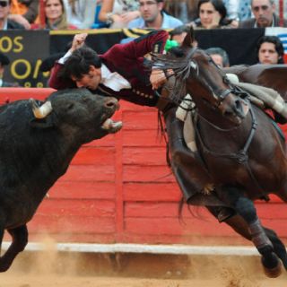 Sólo Ventura y ''El Payo'' consiguen apéndies y triunfan
