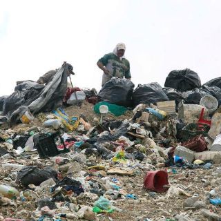 Ecología pide instalar incinerador de residuos biológicos en Picachos