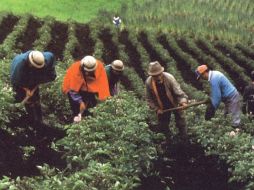 Pobladores mantienen desde hace más de 20 años un conflicto agrario. ARCHIVO  /