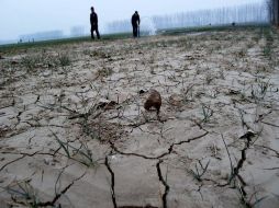 Dos agricultores riegan sus cultivos en la provincia de Huaibei. EFE  /