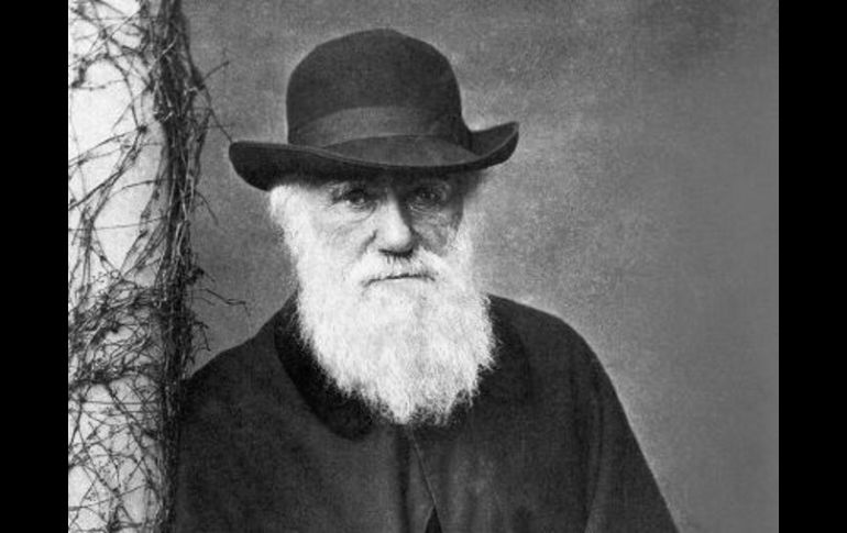 Las teorías de Darwin siguen vigentes. ESPECIAL  /