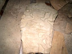 El hallazgo se registró a fines de 2010. EL UNIVERSAL  /