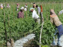 El 99% de los refugiados de la provincia de Sucumbíos son colombianos.ARCHIVO  /
