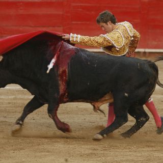 'El Payo' triunfa en la Nuevo Progreso