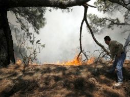 El Presidente resalta que se redujo a menos de la mitad la superficie dañada por incendios en 2010. ARCHIVO  /