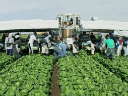 El documental fue rodado con apenas ocho mil dólares. ESPECIAL  /