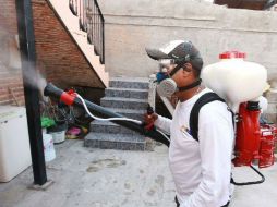 En lo que va del año se han registrado seis contagios de dengue en Jalisco. ARCHIVO  /