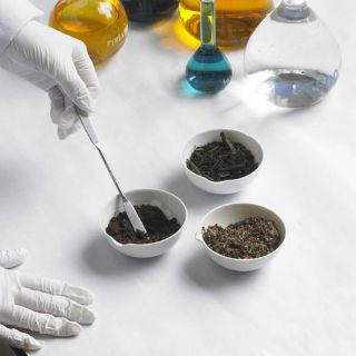 Investigadores mexicanos buscan nueva forma para desarrollar fármacos