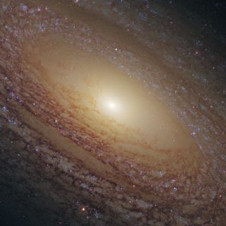 Encuentran nueva constelación de estrellas en Galaxia a 46 millones de años luz