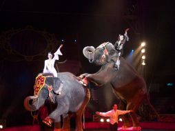 Uno de los actos favoritos que presenta el circo es el que protagonizan los elefantes asiáticos. ESPECIAL  /