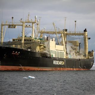 Japón pide a tres países que tomen medidas contra Sea Shepherd