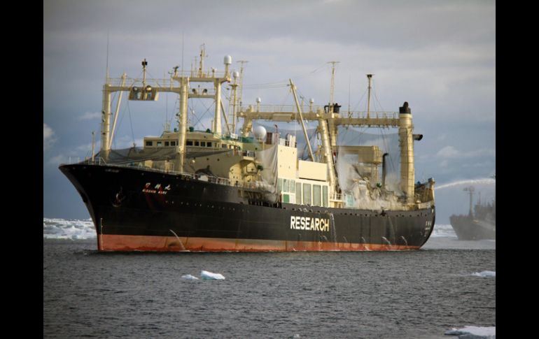 Los barcos de este grupo atracan de forma regular en puertos de Australia y Nueva Zelanda. AFP  /