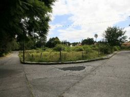 El proyecto del museo ambiental en Bosque Los Colomos pretende realizarse en tres etapas. ARCHIVO  /