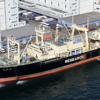 Nueva Zelanda aceptará la entrada del Sea Shepherd