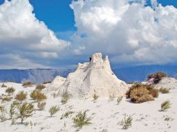 El paisaje desértico va acompañado de fósiles de dinosaurios.EL UNIVERSAL  /