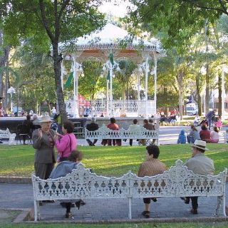 Conservar el entorno, reto para la colonia Chapalita