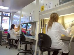 Los experimentos han demostrado, tanto en modelos animales como en células de pacientes, la eficacia terapéutica asociada. EFE  /