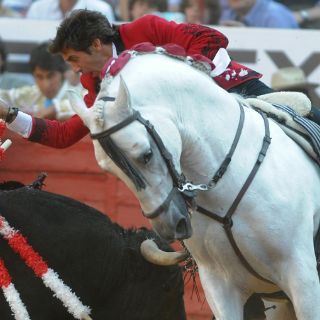 Hermoso de Mendoza es el triunfador en Plaza México