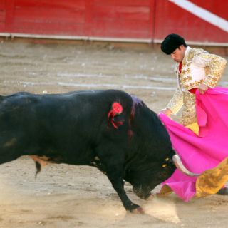 Bautista, López Rivera y Orozco estarán en Plaza México