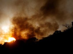 Desde que inició la temporada invernal, se han registrado 63 incendios forestales en Jalisco. ARCHIVO  /