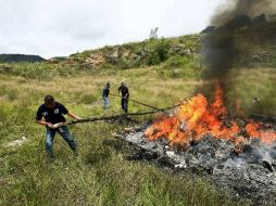 Elementos de la PGR se encargan de la quema de droga. ARCHIVO  /