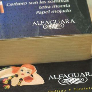 Noventa y nueve autores mexicanos compiten en el XIV Premio Alfaguara de Novela