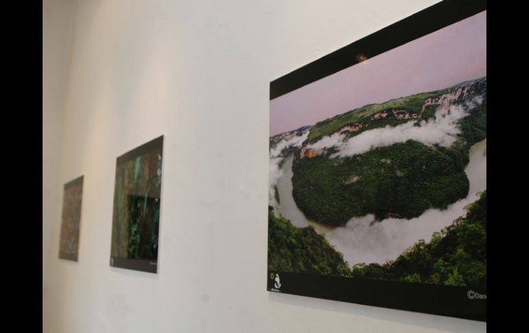 El evento se realizará del 23 al 25 de febrero. M.FREYRIA  /