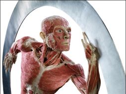 n el 2010, esta exposición se exhibió de manera simultánea en otras cuatro ciudades.ESPECIAL  /