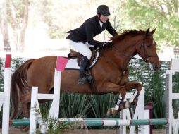 Arturo Parada, monta a “Cascajal”, será uno de los aspirtantes al automóvil que se disputará esta noche en el Club Hípica. A. CAMACHO  /