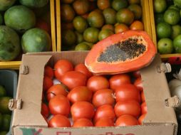 La Sagarpa informa que hay proyectos exitosos de agricultura urbana para producir hortalizas. A. CAMACHO  /