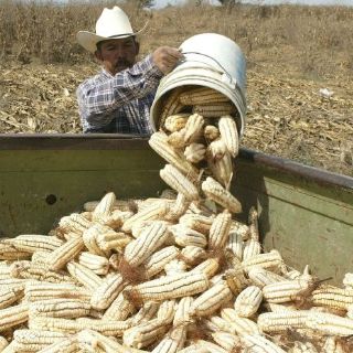 Industriales anuncian aumento de 5% en precios de alimentos